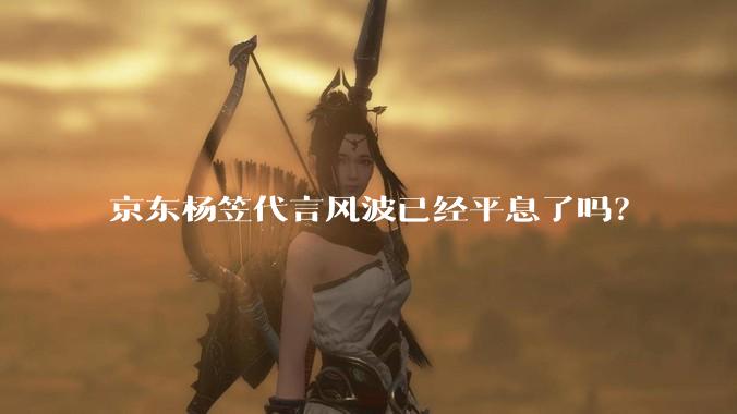 京东杨笠代言风波已经平息了吗？